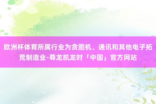 欧洲杯体育所属行业为贪图机、通讯和其他电子拓荒制造业-尊龙凯龙时「中国」官方网站