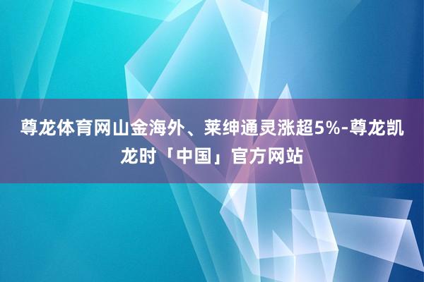 尊龙体育网山金海外、莱绅通灵涨超5%-尊龙凯龙时「中国」官方网站