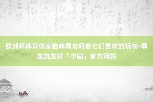 欧洲杯体育你家猫咪蓦地叼着它们喜欢的玩物-尊龙凯龙时「中国」官方网站